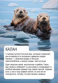 �����, ������� �����. �������� ��� �����, ����������