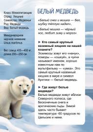 ����� �������. ������, ������, ����������