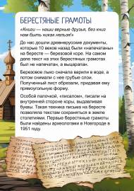 ���������� �������. ���������� � ������� ���� �� ����