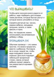 Проращиваем лук. Папка-передвижка для родителей Проращиваем лук. Папка-передвижка для родителей
