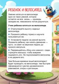 Учим детей кататься на велосипеде. Передвижка Учим детей кататься на велосипеде. Передвижка