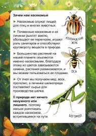 Польза насекомых. Передвижка
