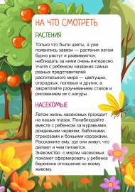 Наблюдения на летней прогулке. Передвижка