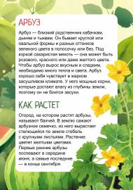 Арбуз. Передвижка для детей и родителей