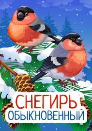 ������� ������������. ���������� � �����