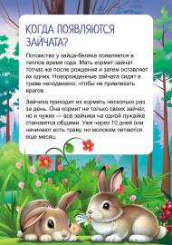 ����-�����. �������