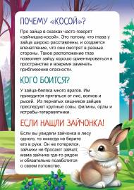 ����-�����. ������ ���� �����?