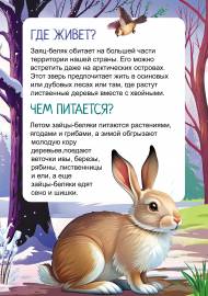 ����� ��� �����-������. ������