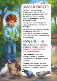 ������, ��������� � ������������. ����������