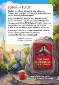 ������ - �����. ����������