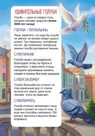 ������������ ������, ���������� �����. ����������