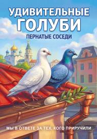 Удивительные голуби. Передвижка о пернатых соседях Удивительные голуби. Передвижка о пернатых соседях