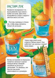 ������ ���. ���������� ��� �� �����������. ����������