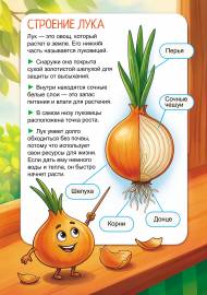 �������� ����. ����������-������ ��� �����