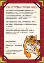 Красная книга. Папка-передвижка с картинками: тигр