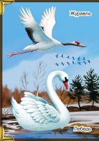 Плакат с картинками перелетных птиц для детей