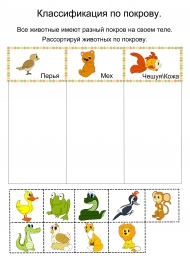 ���, ����� ��� �����?