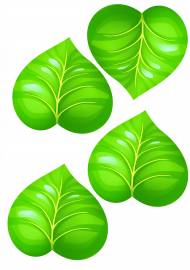 ������ ������. ������� ��� ���������� ����