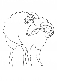 �����. ���������