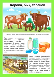 Корова, бык, теленок Корова, бык, теленок
