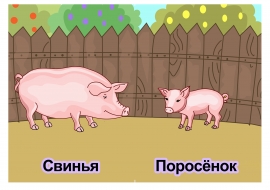 Детеныши животных и их матери фото Библиотека