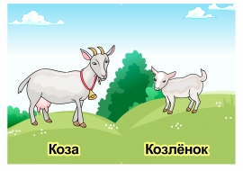 Коза, козлёнок. Картинки домашних животных Коза, козлёнок. Картинки домашних животных