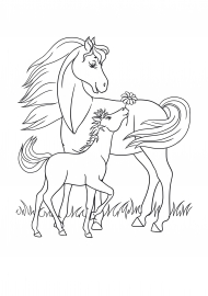 ������ � ���������. ���������