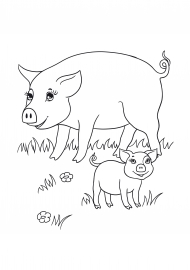 ������ � ���������