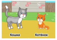 Кот, котёнок. Картинки домашних животных для детского сада
