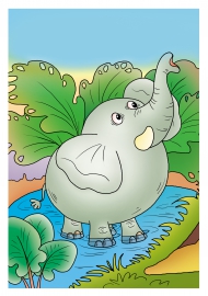 ���� �������