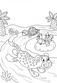 ������ � ��������. ���������