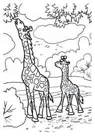 �����. ���������