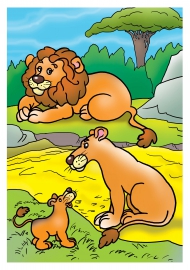 ���, ������ � �������. ������