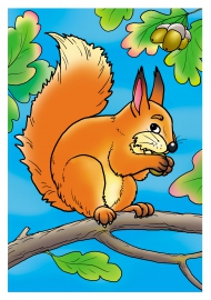 �����. �������� ����