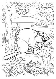 ����. ���������