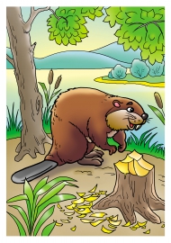 ���� ������������ (������)