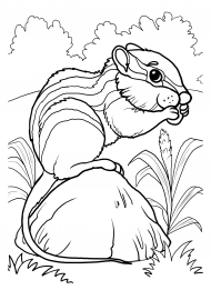 ��������. ��������� ���������