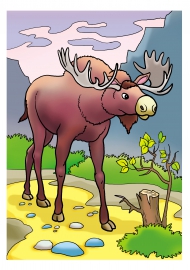 ����. ��������