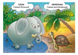 ���� � ��������