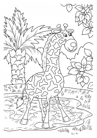 ����� � ������