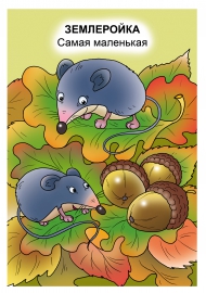 ���������� - ����� ���������