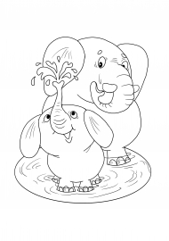 ������� � ��������. ���������