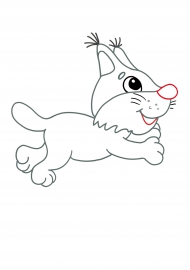 �������� ����. ��������� ��� �����