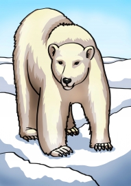 ����������� ������ ������� ��� �����