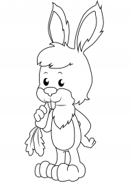 ���� � ���������