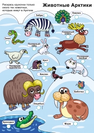 Животные Арктики. Определи животного
