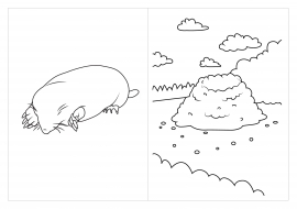 ���� � ����� �����. ��������� ��������