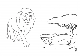 ����������� ���. �������� ��� �����