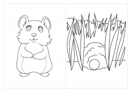 �������. �������� ��� �����