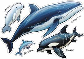 ������������� ���� �� ���� ������� �������������